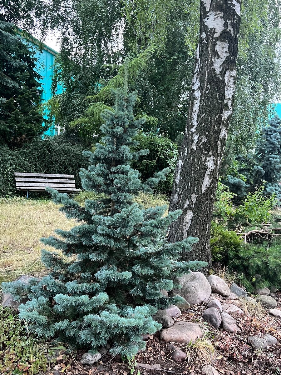 Pronájem atypického apartmánu 1 + KK