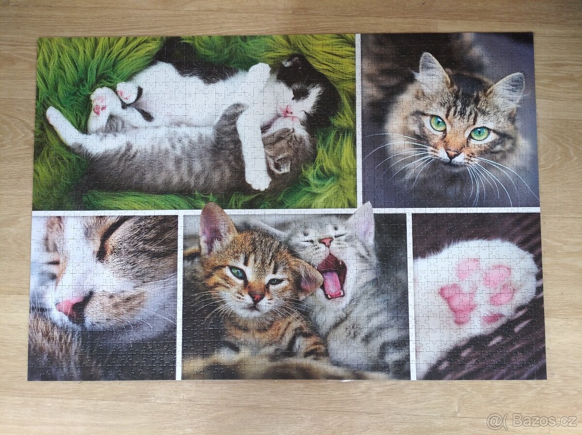 Obraz puzzle
