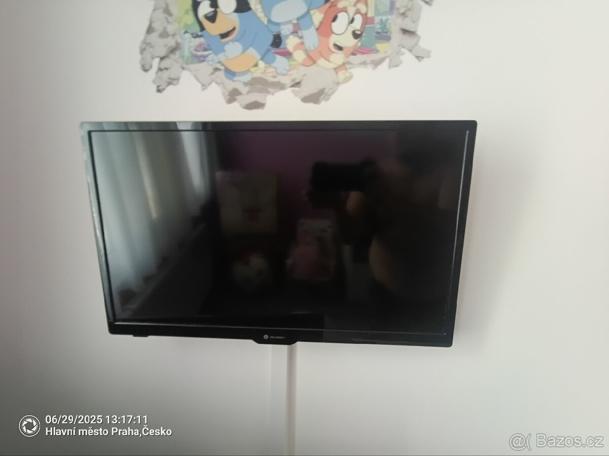 Televize 24" GoGEN