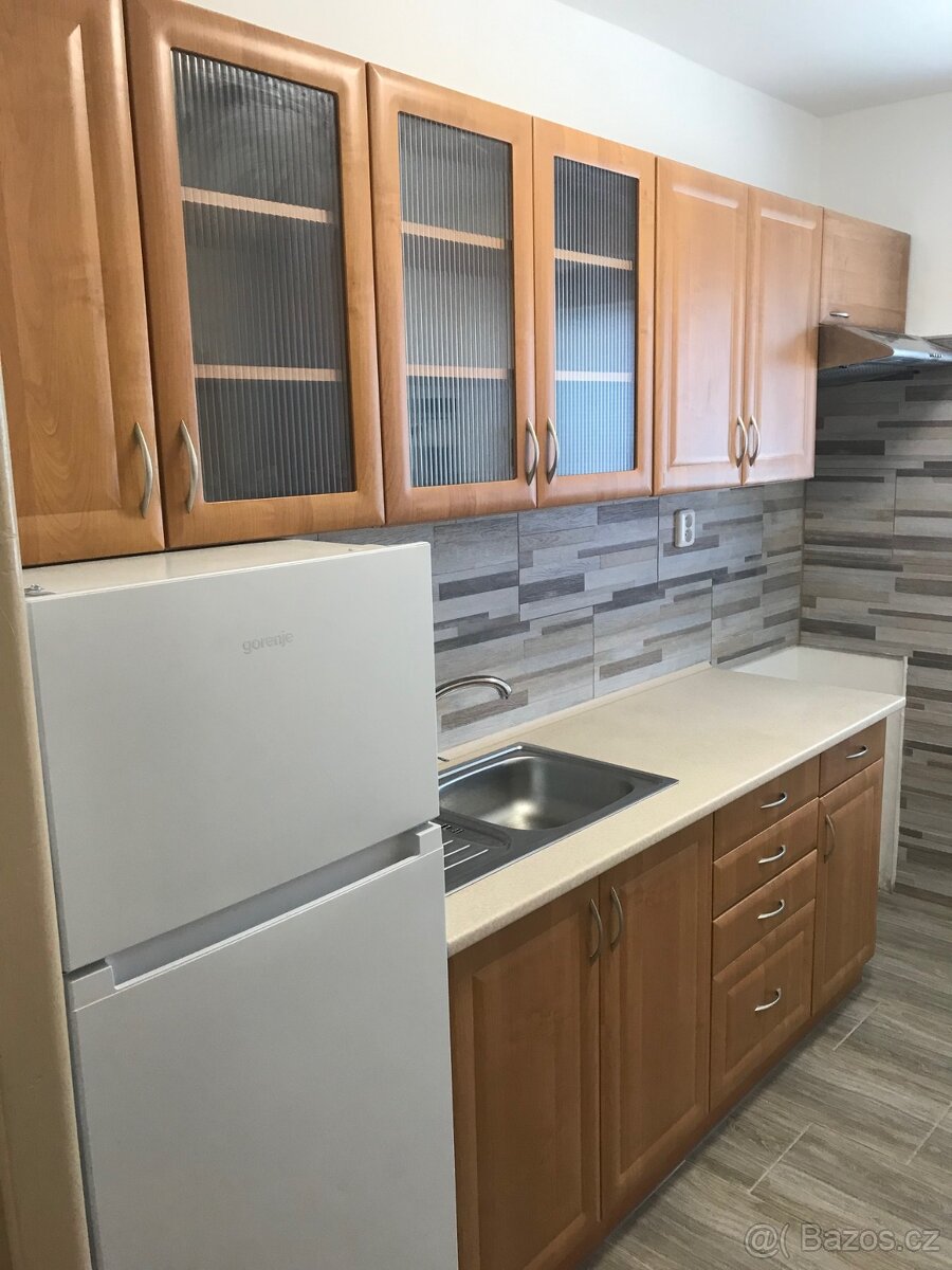 Pronájem bytu 1+1, 42 m2, Myslbekova, Mor. Budějovice