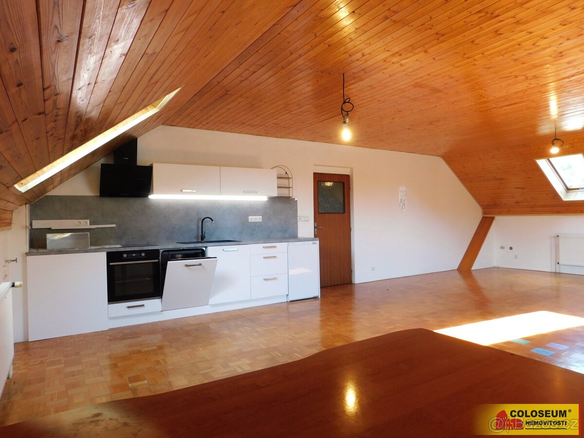 Dobšice, pronájem bytu OV 3+kk, 130 m², zahrada – byt