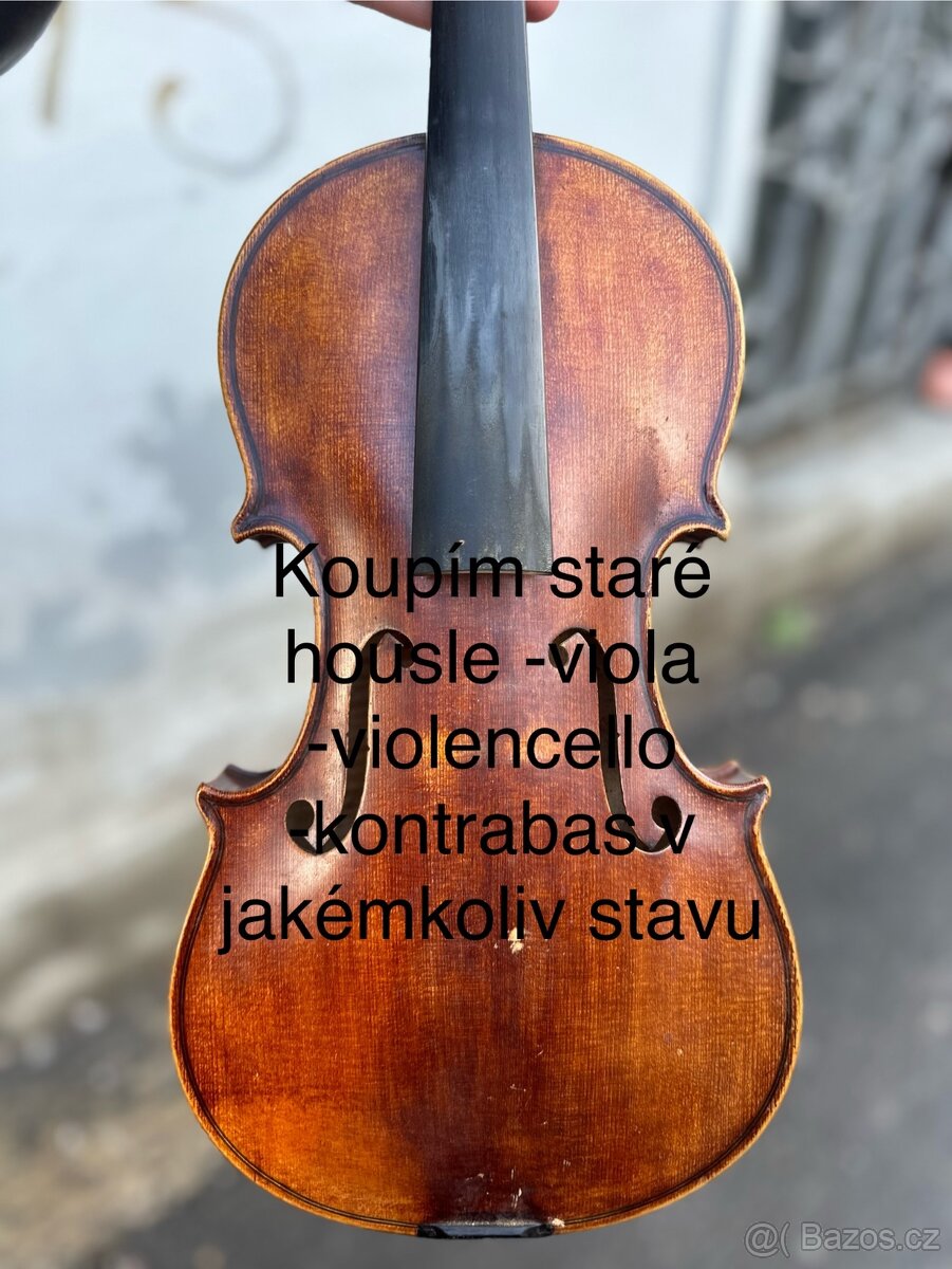Koupim strunné nástroje