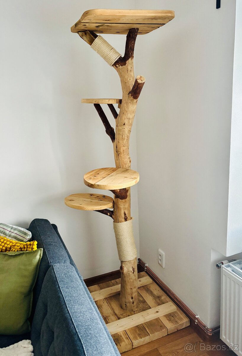 Kočičí strom