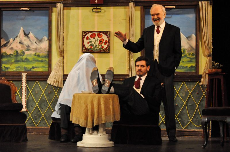 Divadlo Járy Cimrmana - Vražda v salonním coupé 9.11.2025 v