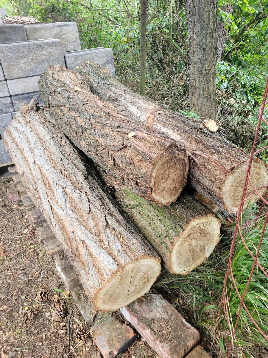 Prodám akátový špalek na štípání dřeva