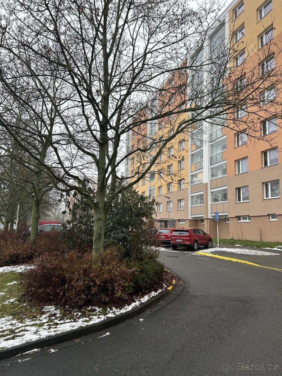 Pronájem panelového bytu 1+1 v OV, Svitavy