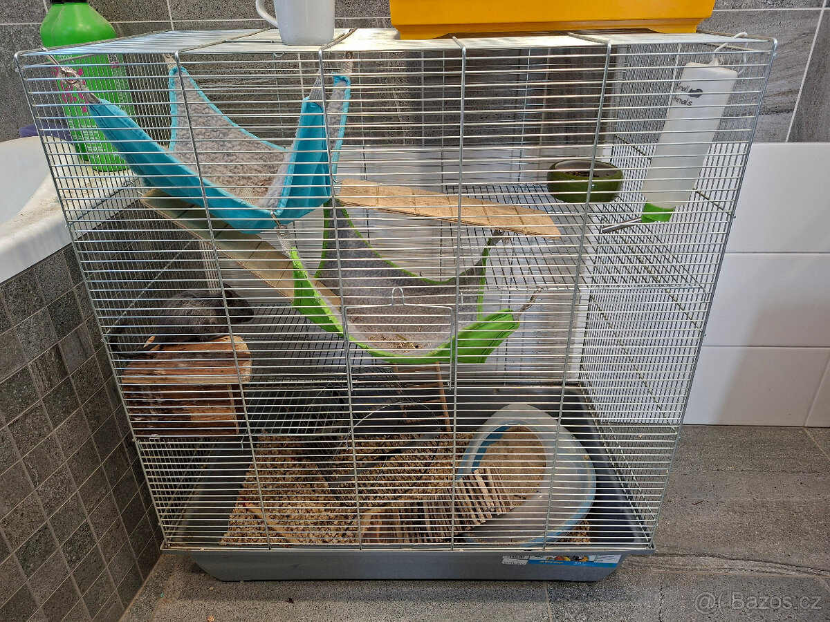 Osmáci Degu s klecí