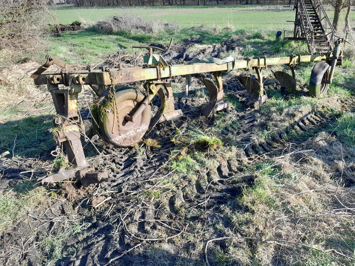 Pluh 5 radličný polonesený