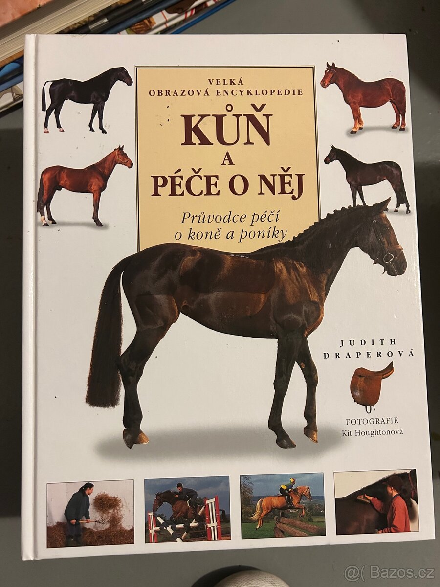 Kůň a péče o něj