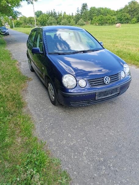 Polo