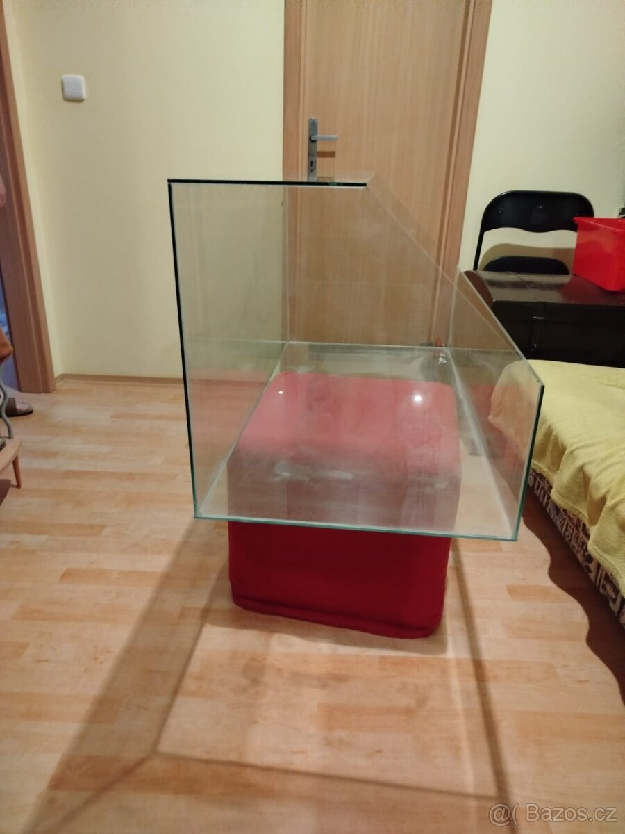 Terárium