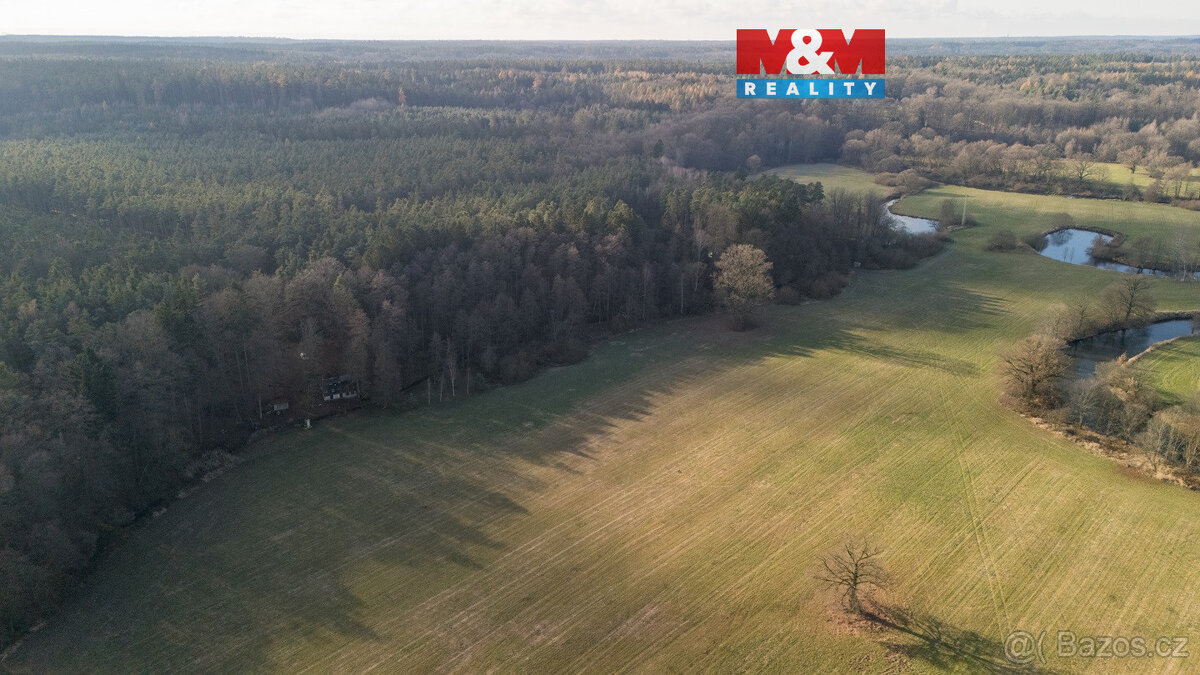 Prodej pole v Týništi nad Orlicí