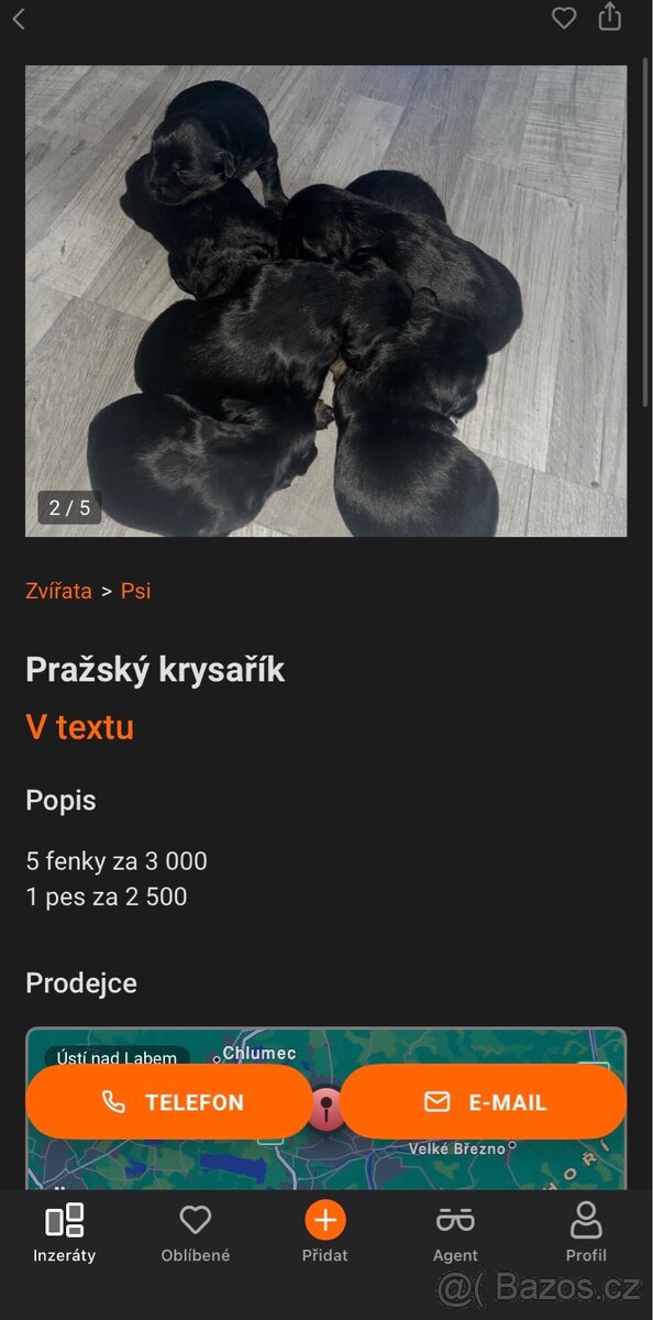Množirna