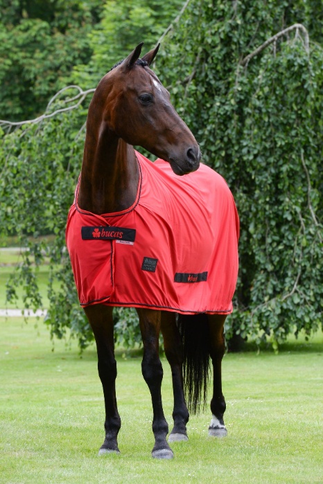 Bucas Odpocovací deka Sports Line Cooler 145 cm