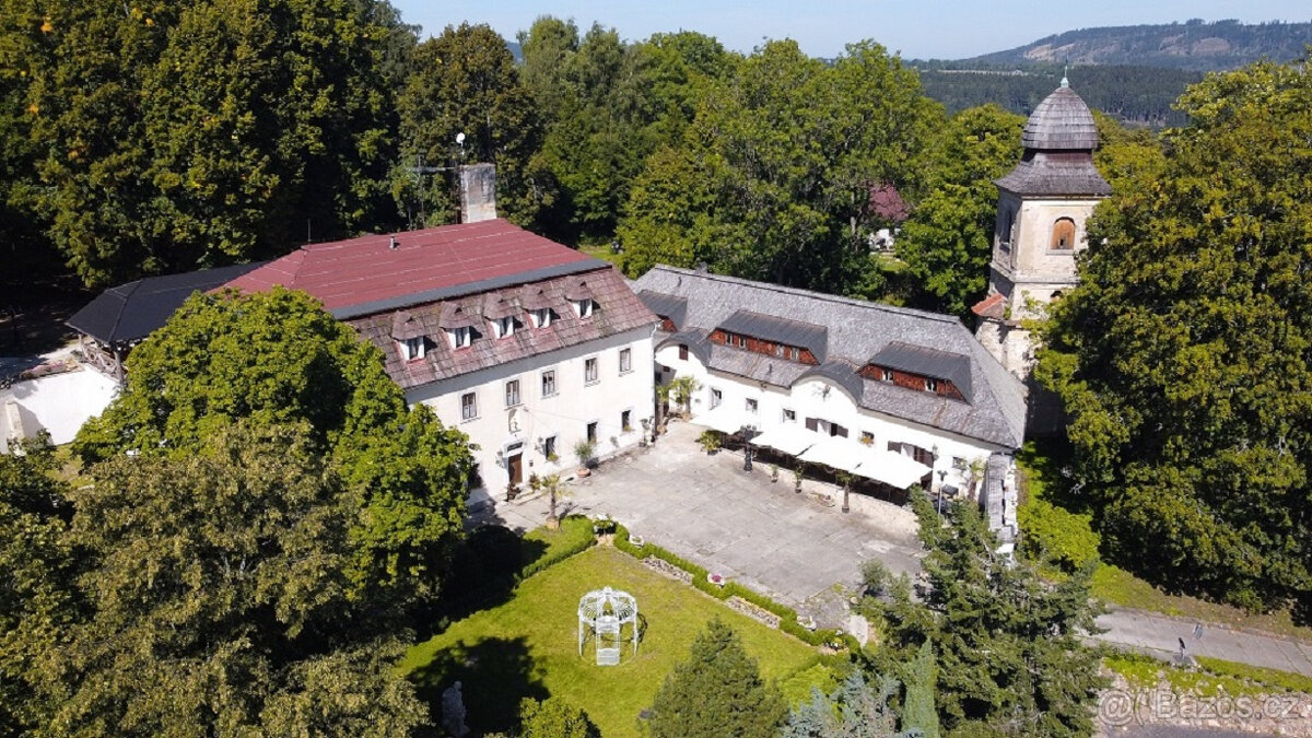 ZÁMEK VIDŽÍN PRONÁJEM