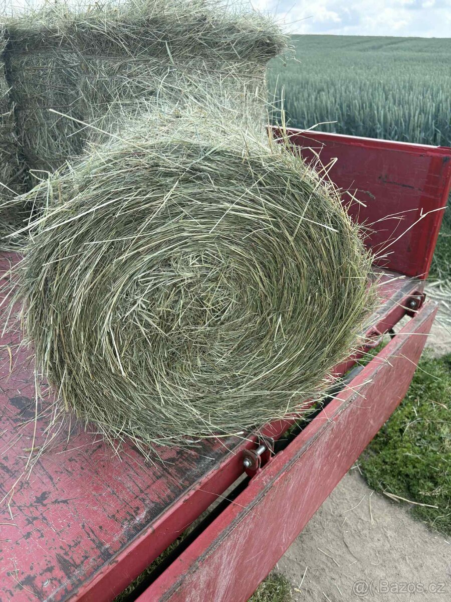Seno malé kulaté balíky