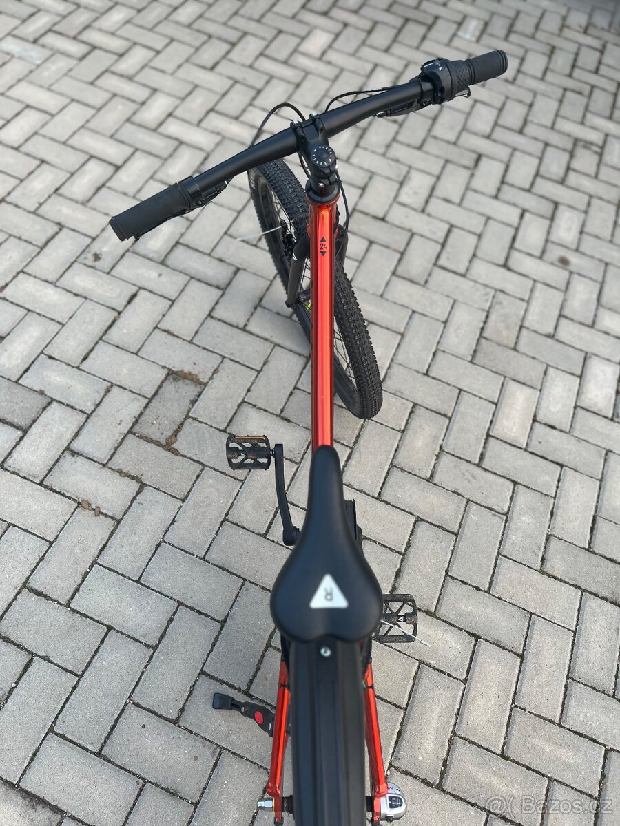 Rascal 24”