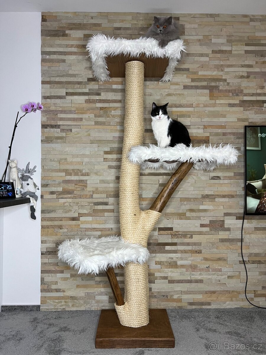 Vysoký kočičí strom