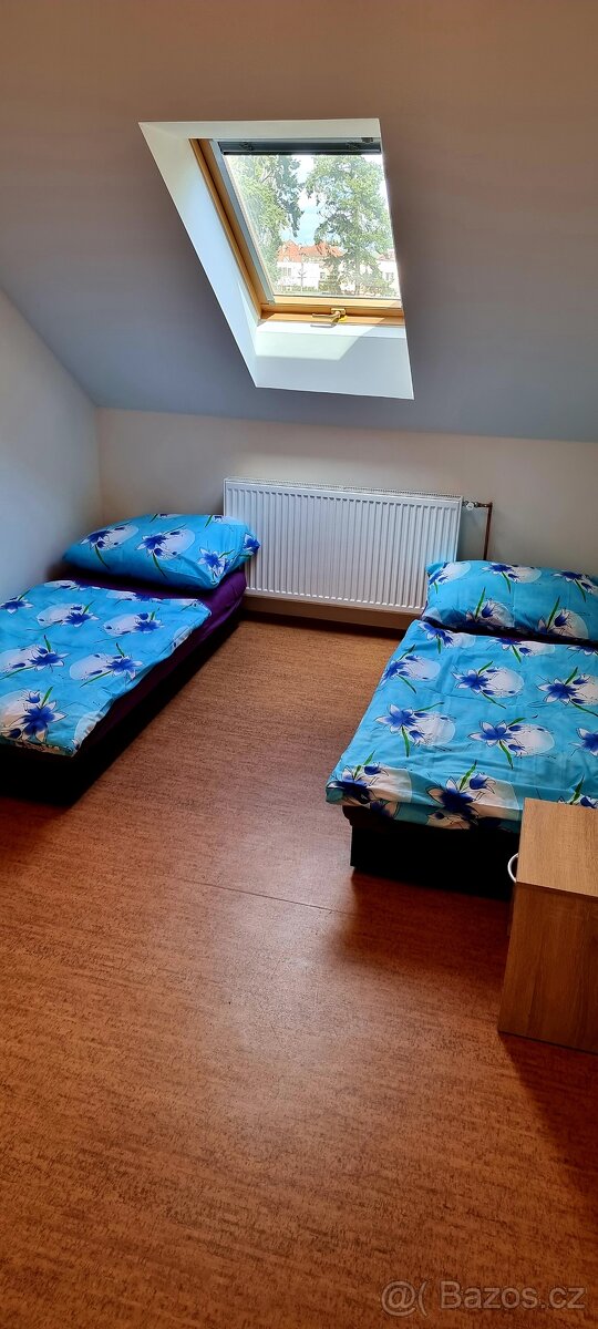 Ubytování