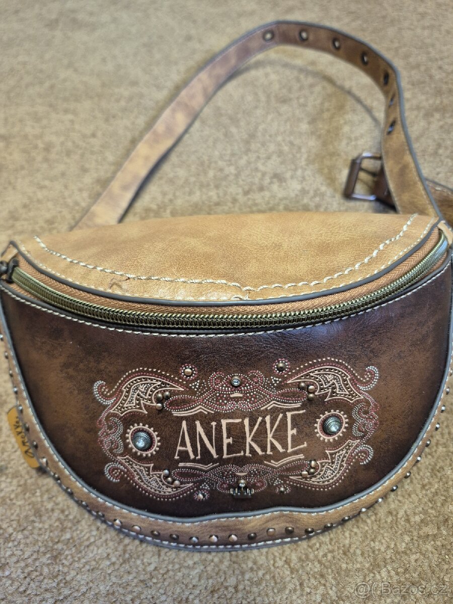 Ledvinka ANETTE
