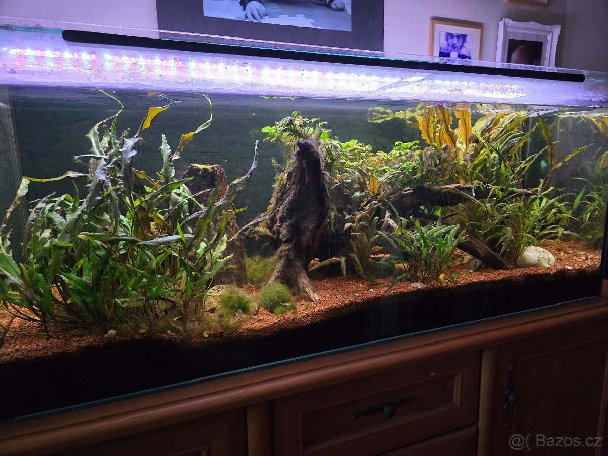 Akvarium 240l