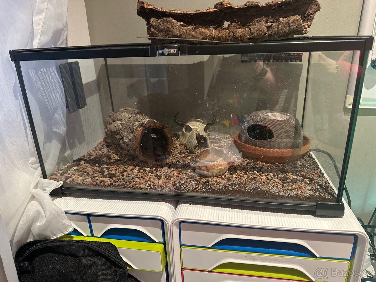 Terárium repro planet 60x30x30, topná podložka a světla