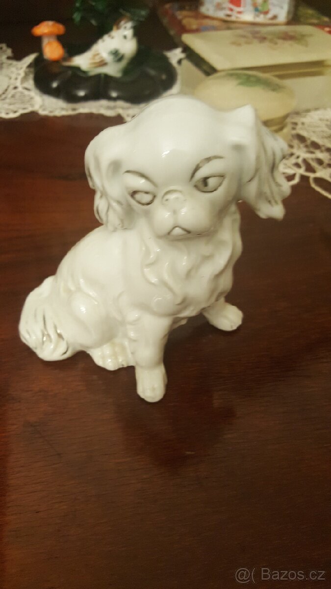Porcelánovy pes