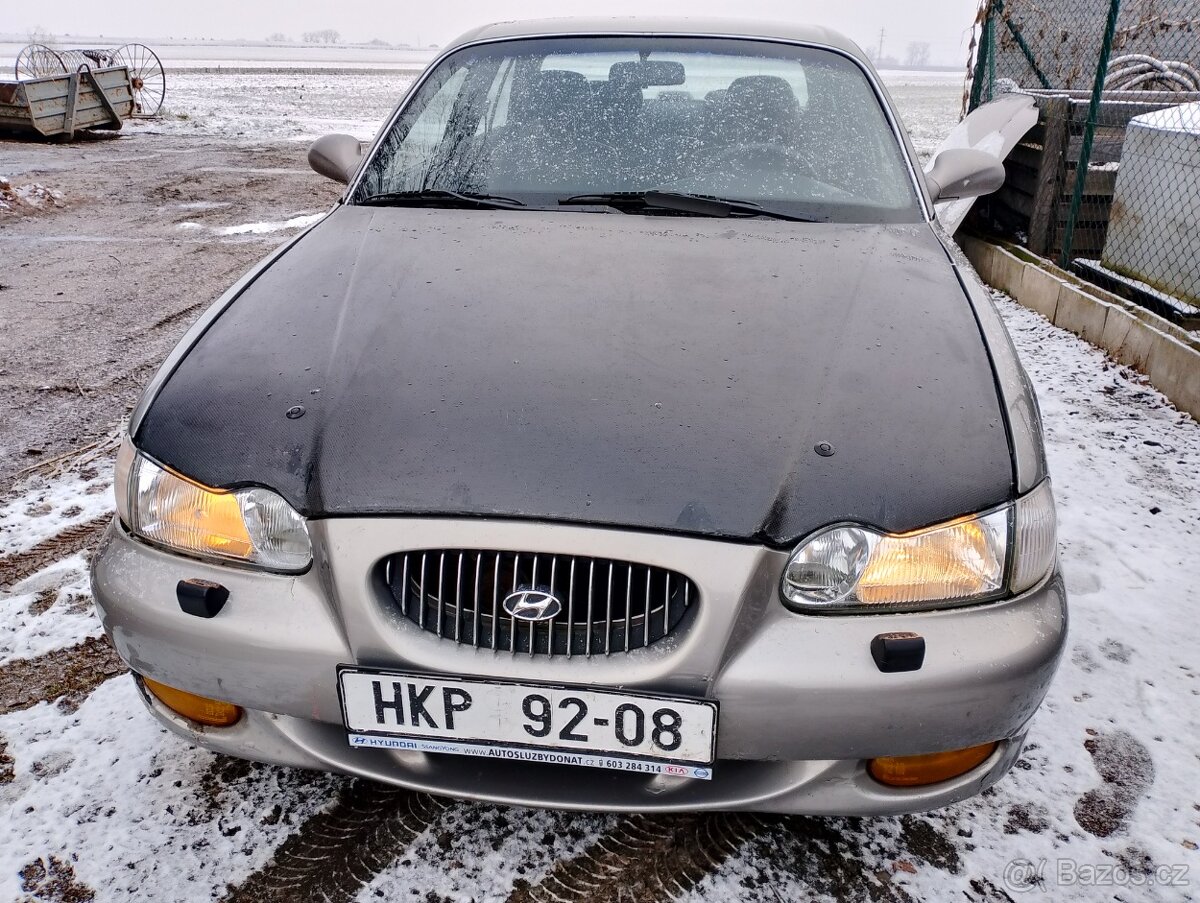 Hyundai karbon kapota