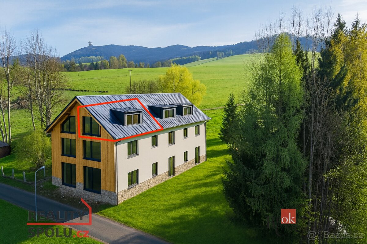 Prodej, byty/1+kk, 46.16 m2, Velká Morava 6, 56169 Dolní Mor
