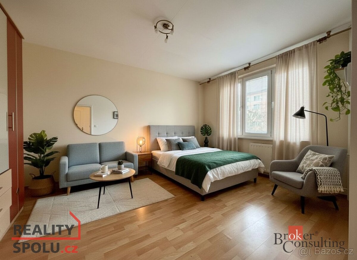 Pronájem, byty/1+1, 30 m2, Kpt. Nálepky 2212, 44001 Louny, L