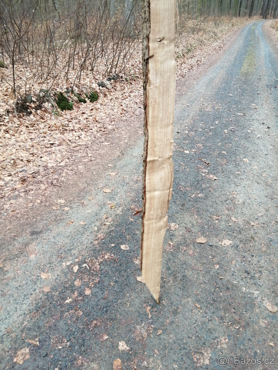Kůly dub 100 kč/kus, délka 210cm