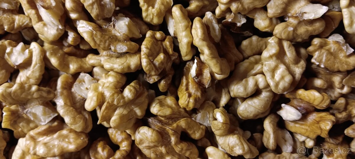 ořechy vlašské