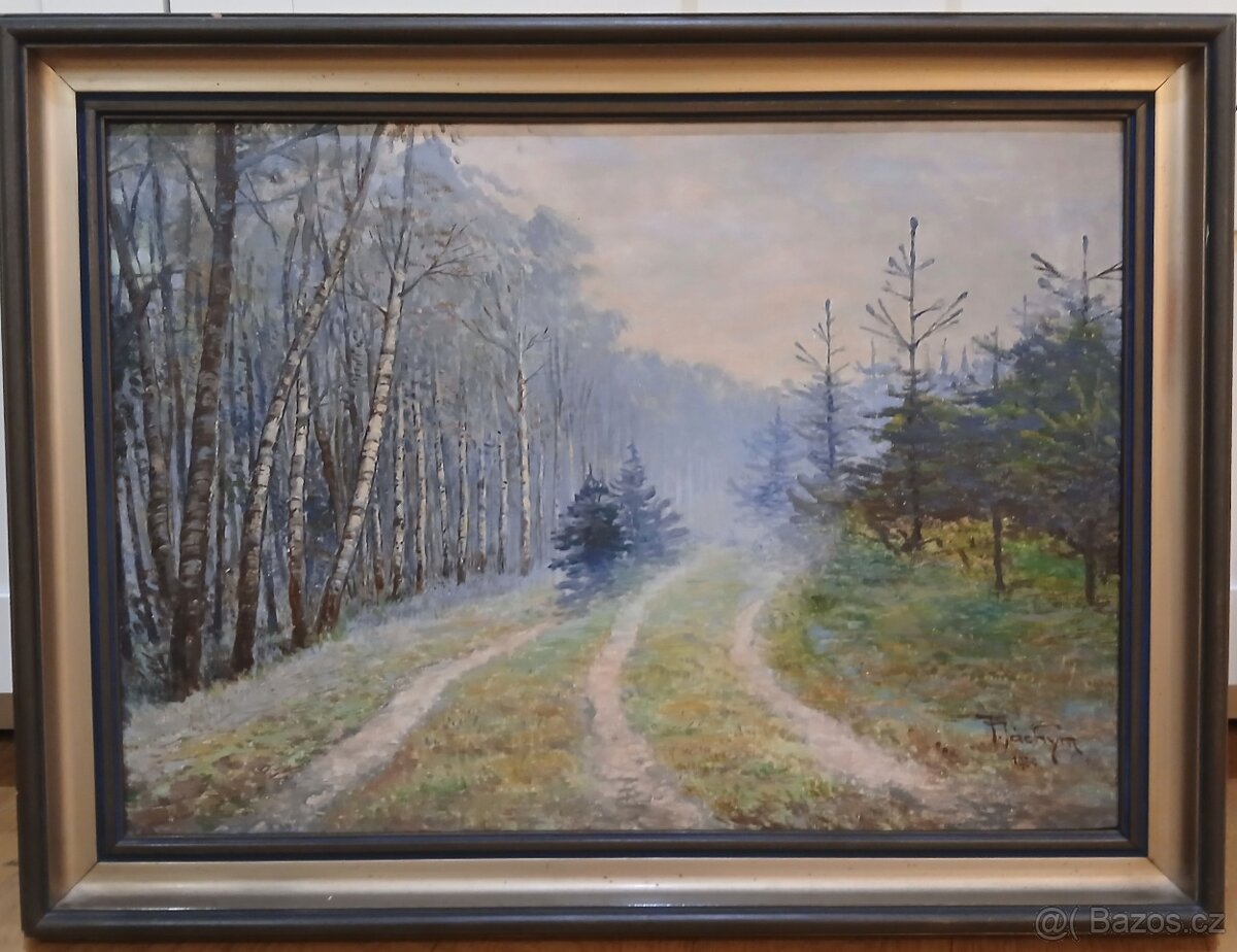 Jan Jáchym - Lesní cesta - Obraz