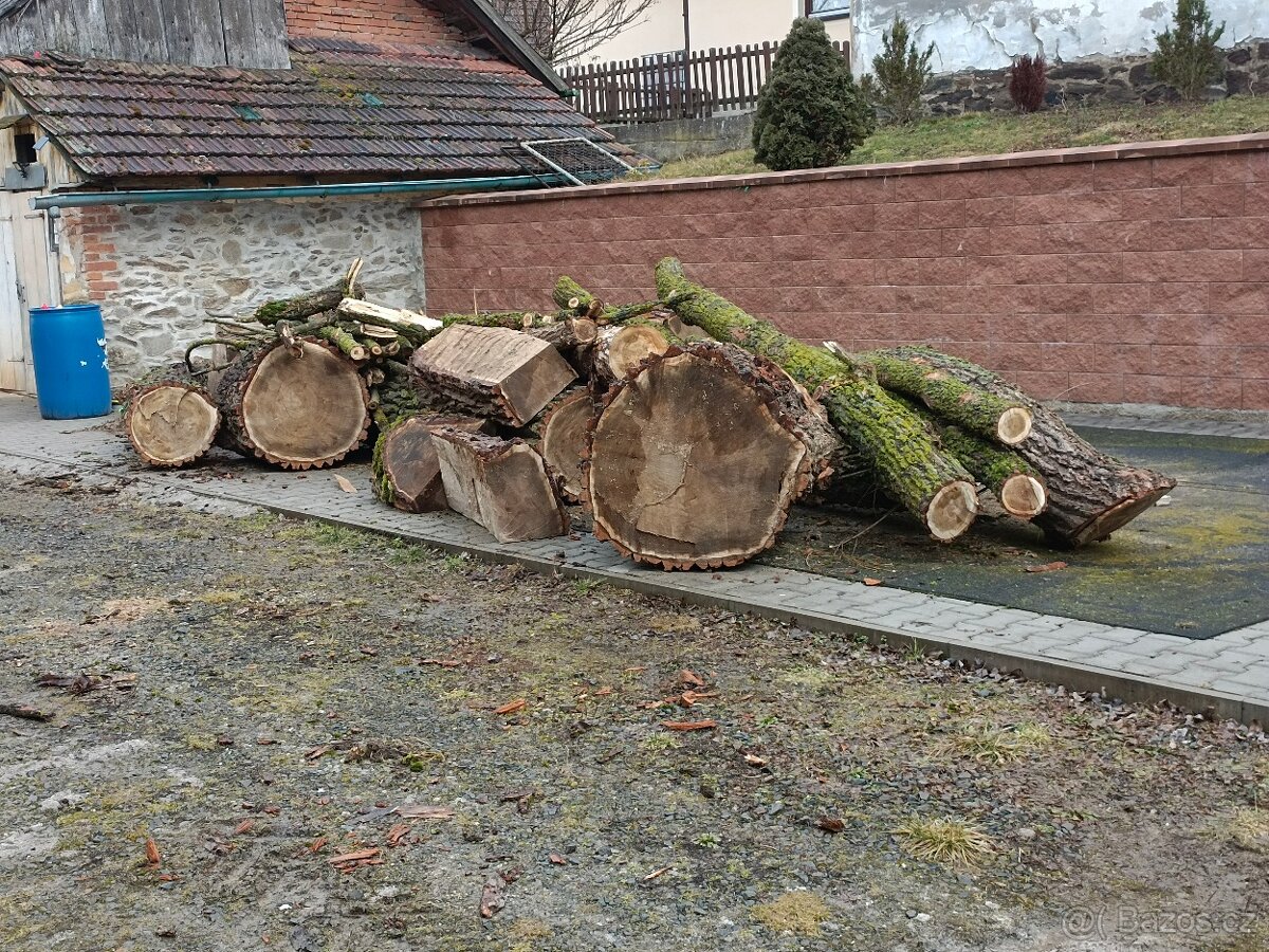 Dřevo