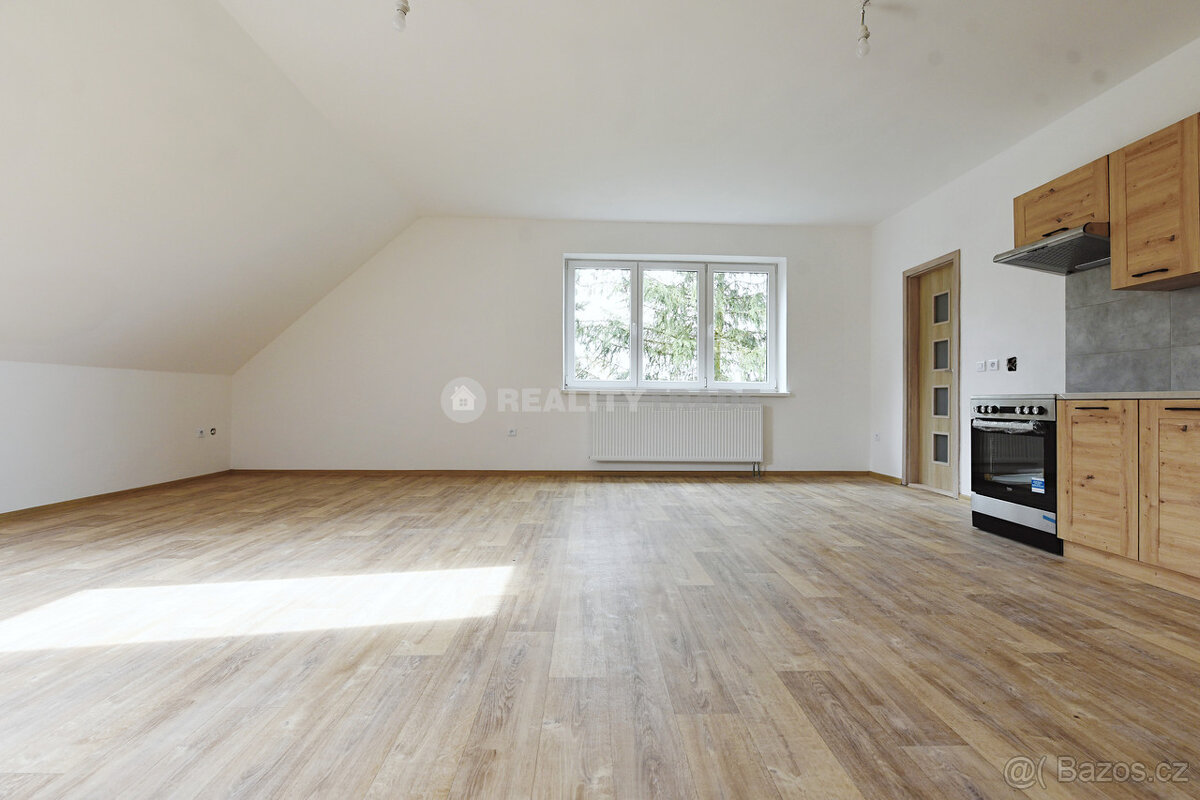 PRONÁJEM PĚKNÉHO, VELKÉHO BYTU 3+KK, 109 M2 V 1NP RD (PODKRO