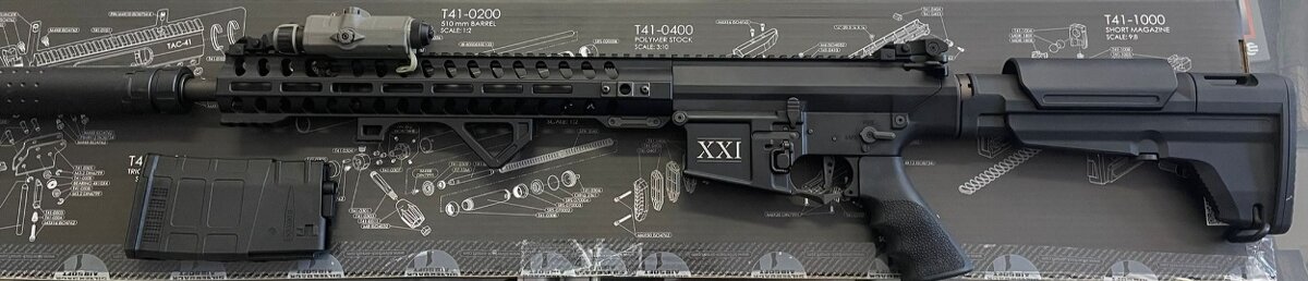 Secutor Rapax XXI M9 SR-25 DMR AEG
