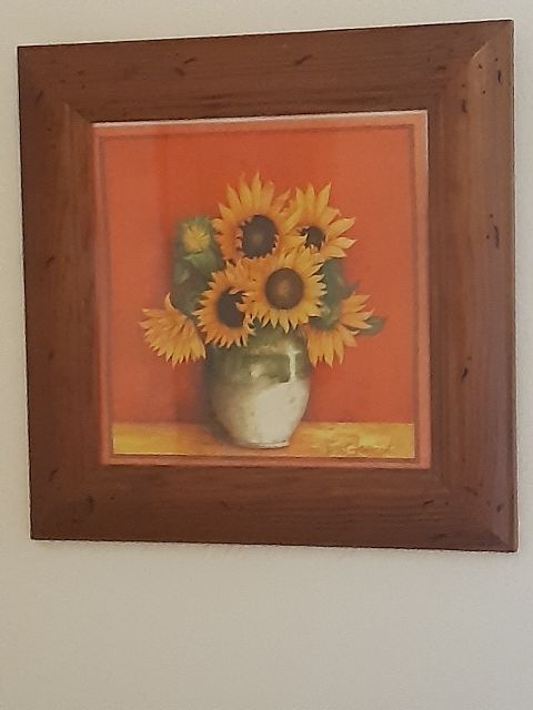 SLUNEČNICE