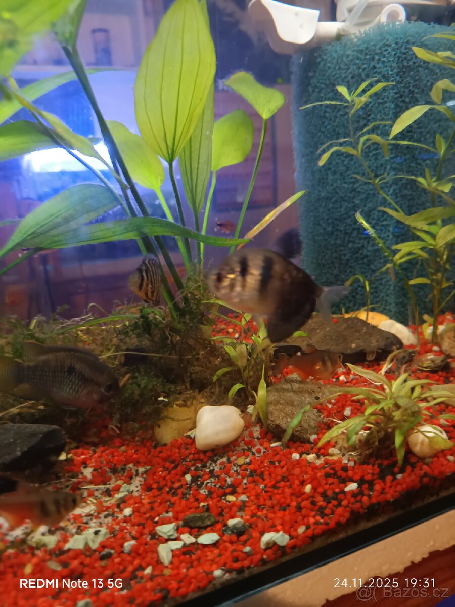 Za kožen krásný Tetry