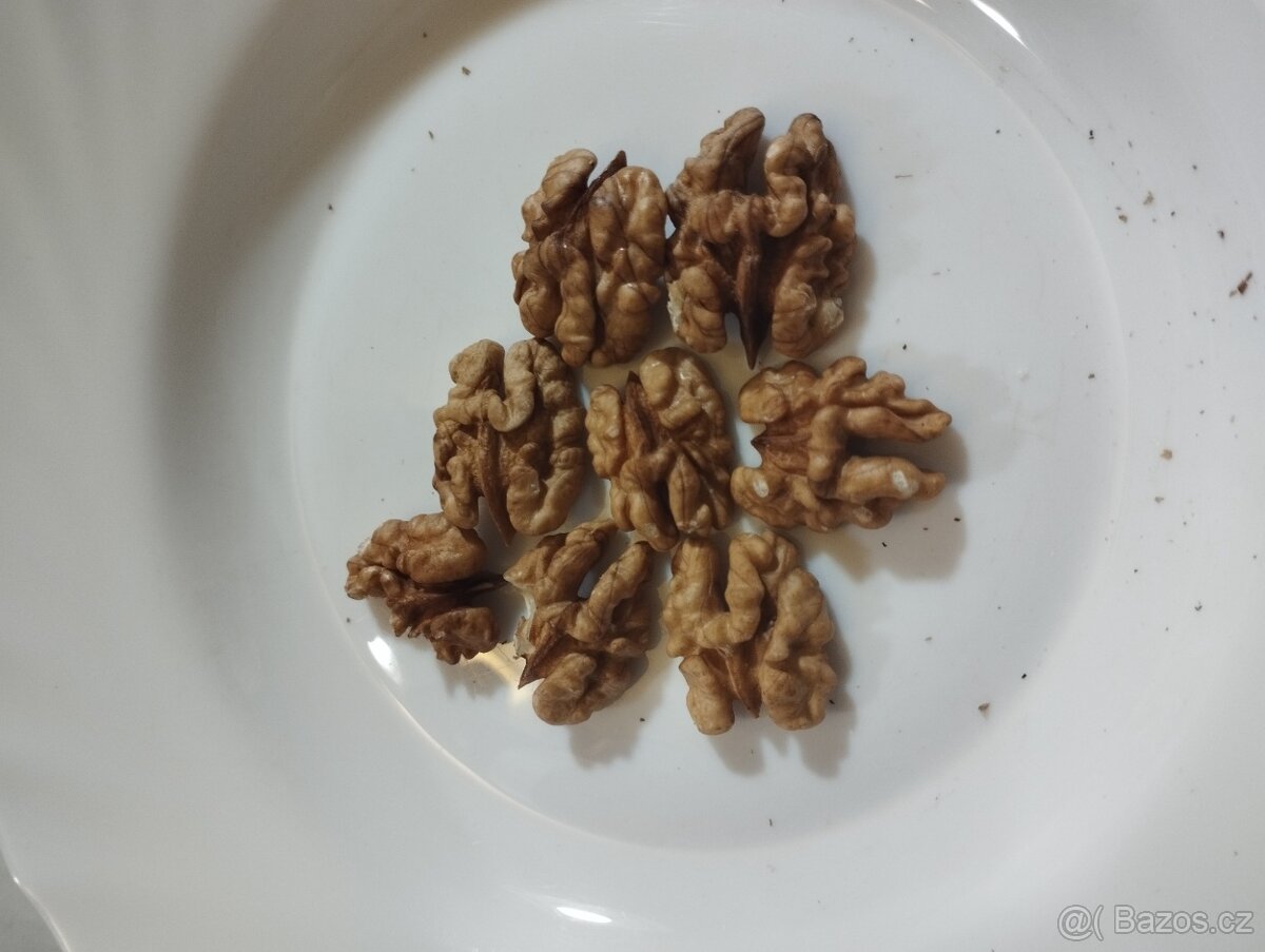 Prodám vlašské ořechy