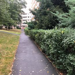 Pronájem bytu 2kk + lodžie