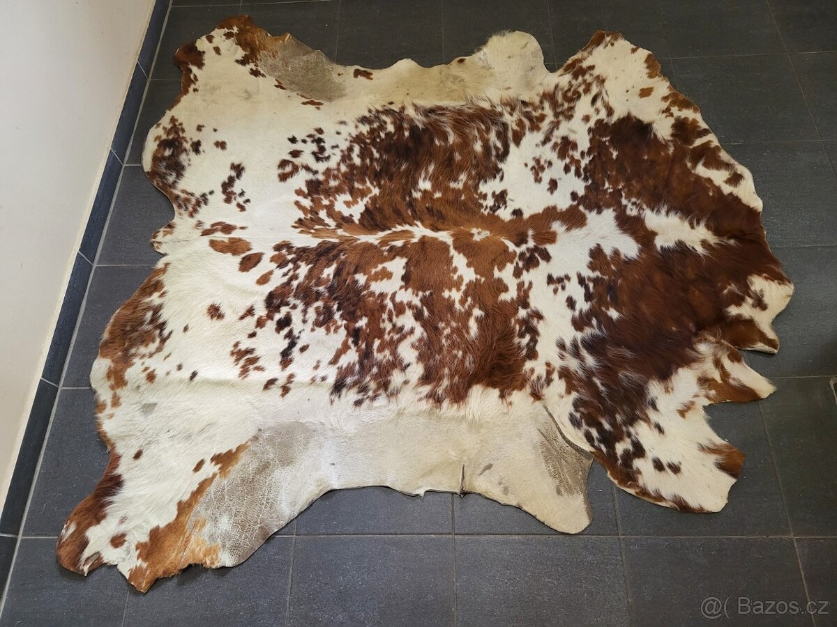 kůže, hovězí kožešina, velikost 174x166 cm