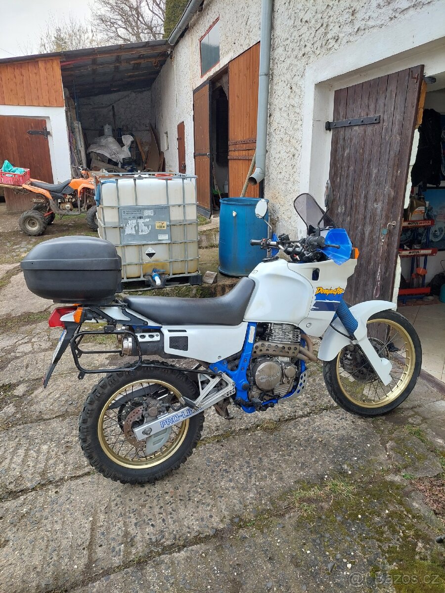 Honda nx 650 domimator