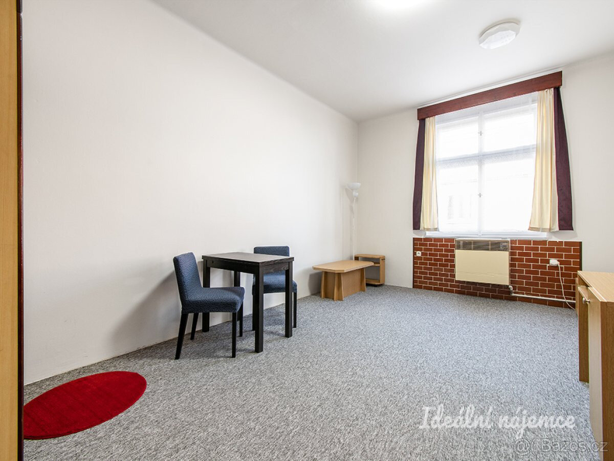 Pronájem bytu 1+kk, náměstí Jiřího z Lobkovic, Vinohrady, 14