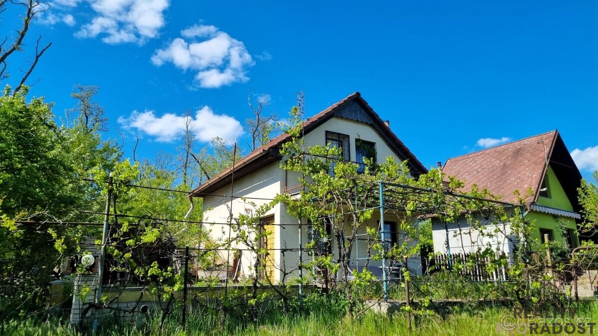 Prodej chaty s vinným sklepem a vinohradem 1107m2 v Mikulčic