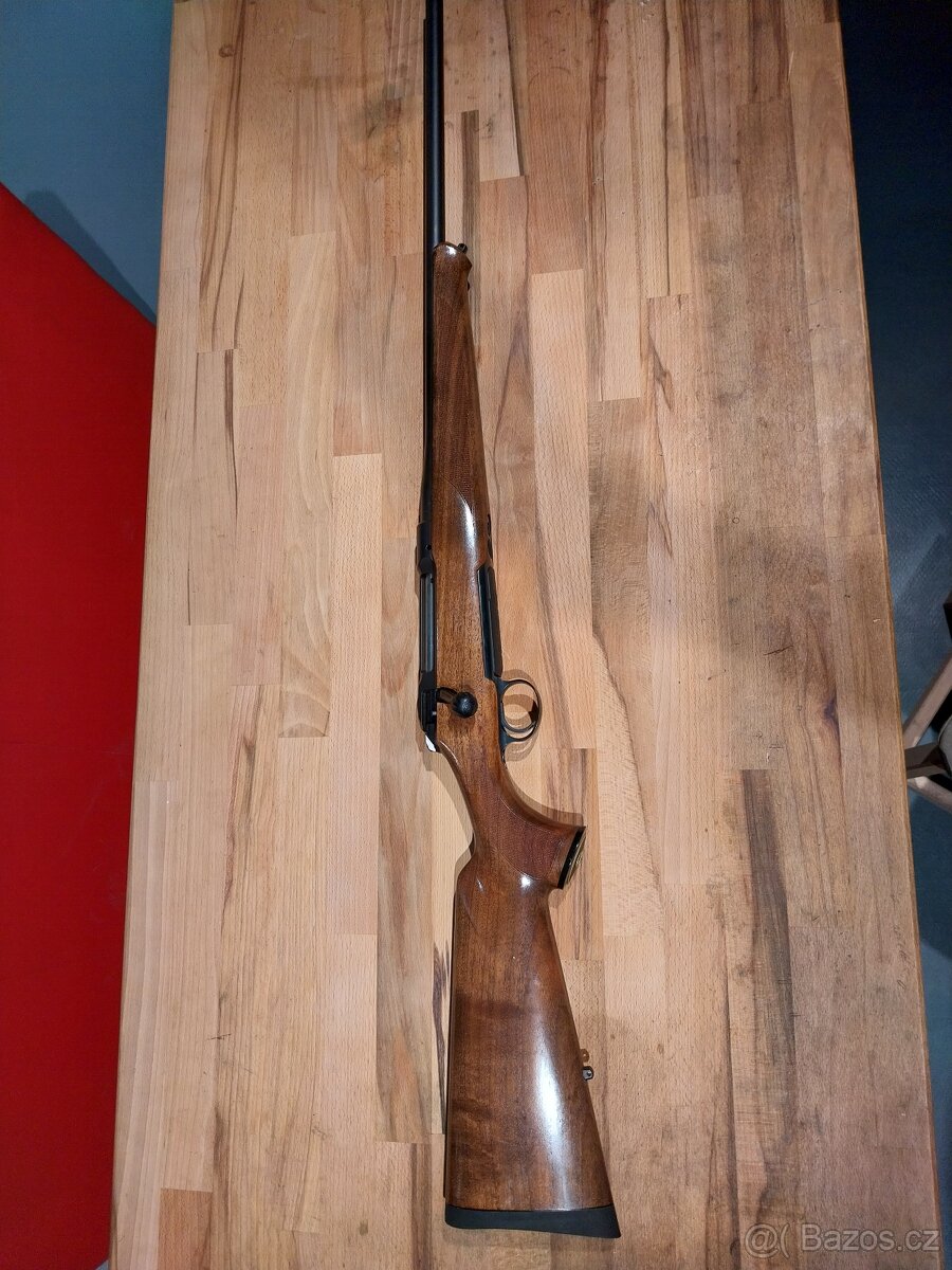 Sauer 101