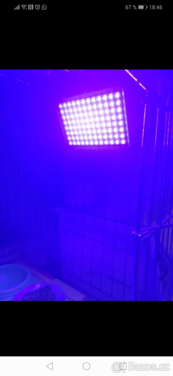 LED UV 50W