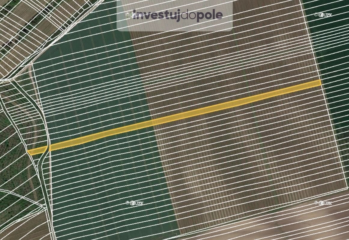 Prodej sadu / vinice 11 743 m², Čejkovice