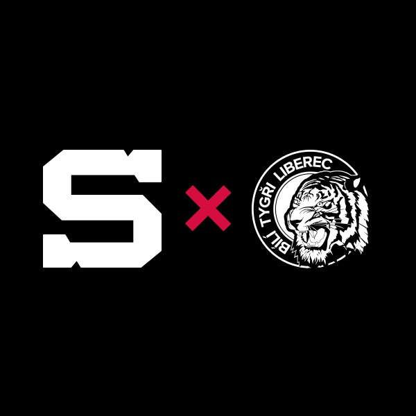 HC SPARTA PRAHA - BÍLÍ TYGŘI LIBEREC, klubové VIP