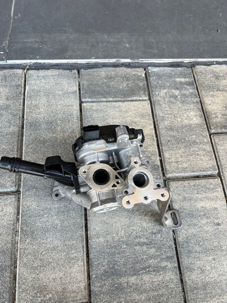 EGR ventil Peugeot,Citroen 9807369980