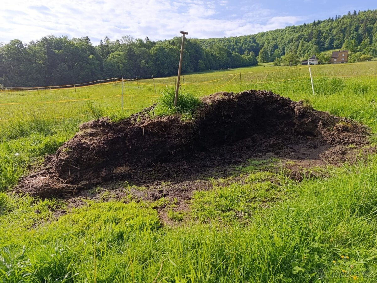 Koňský hnůj